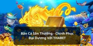 bắn cá săn thưởng tại Thabet