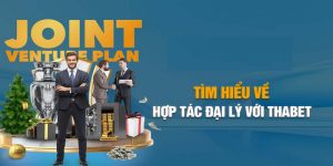 tìm hiểu chính sách hợp tác với thabet